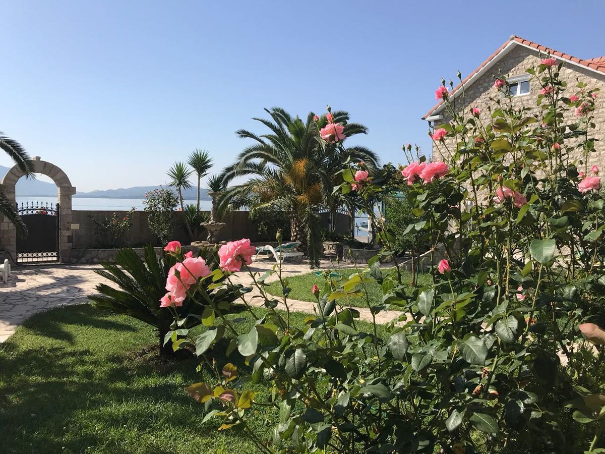 Apartments Apple Cat Montenegro Ko Bijela Bagian luar foto